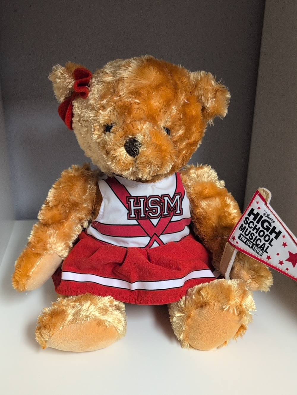 Disney High School Musical The Ice Tour Collectible Bear HSM Plush Y2k